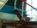 Modern Glass Stair Railing Philippines